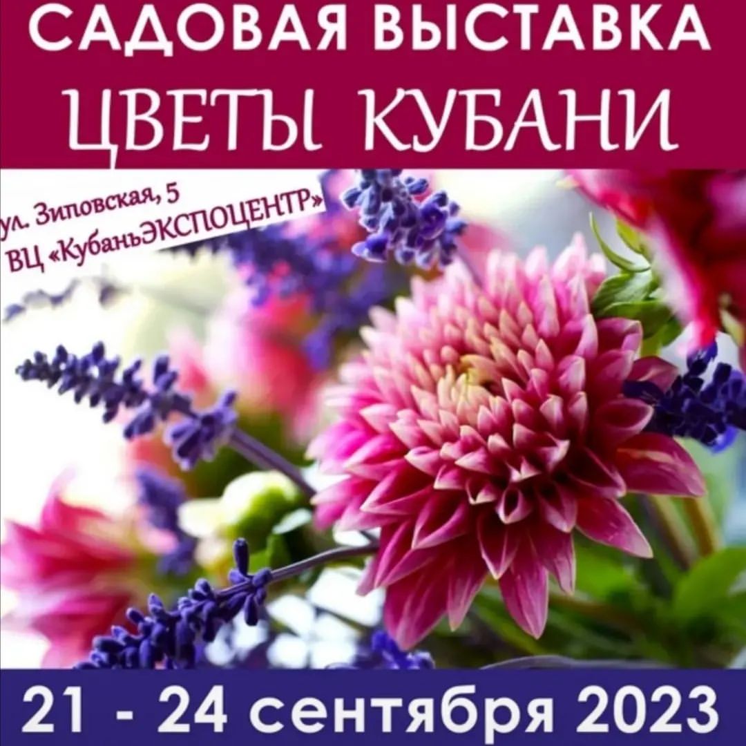3153natali в LOOKY. . Ждём в гости 21-24 с...