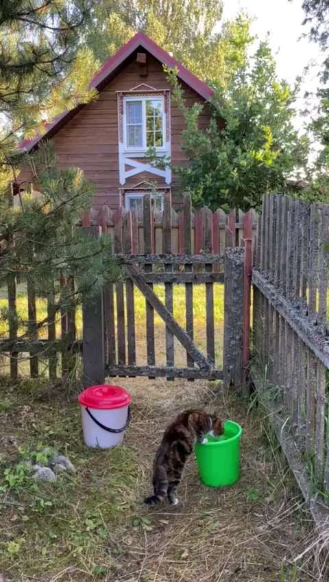 perchinka80 в LOOKY. . Ну вы поняли.... Пьё...