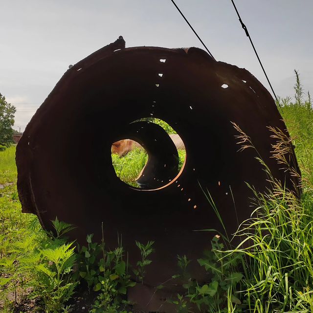 ellezrore в LOOKY. #photo,#summer,#photography,#mydog,#walk,#morning. #photo #summer #phot...
