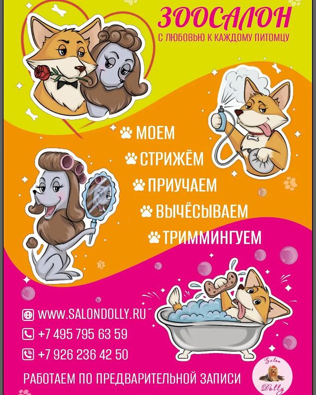 salon_dolly в LOOKY. #метроводныйстадион,#метроречнойвокзал,#метробеломорская,#метроховрино,#жкдискавери,#жкакватория,#жкфестивальпарк,#жкфлотилия,#кинотеатрнева,#ховрино,#головинскийрайон,#левобережныйрайон,#западноедегунино,#онежскаяулица,#северныйречнойвокзал,#лавочкина32,#северныеворота,#валдайскийпроезд,#речнойвокзал,#флотскаяулица,#стрижкаживотныхнасмольной,#стрижкасобак,#парксеверногоречноговокзала,#паркдружбы,#левобережныйпарк,#грачевскийпарк. Акция ЛИСТОВКА скидк...