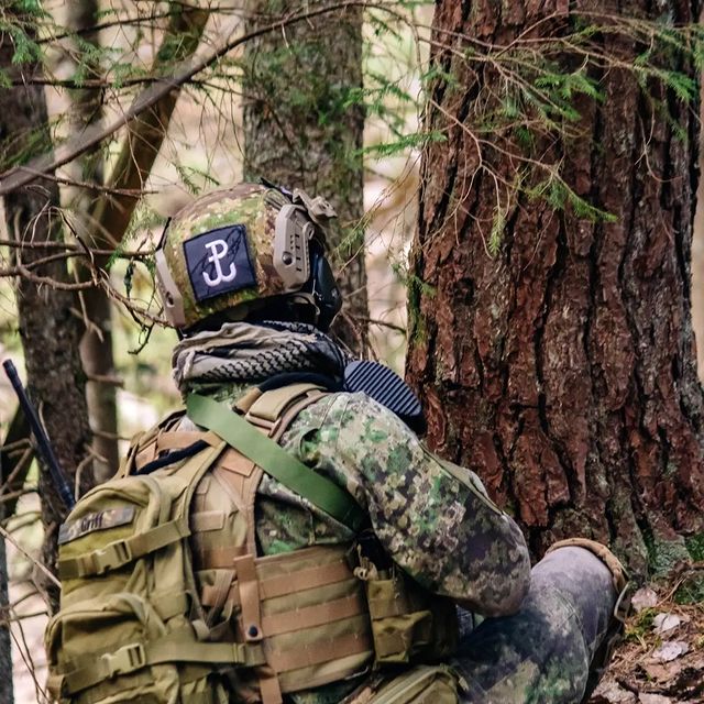 griffoni4 в LOOKY. . Немножко леса🏕🌲