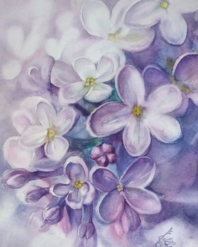 irinamohamad в LOOKY. . LILAC. Watercolour. ...