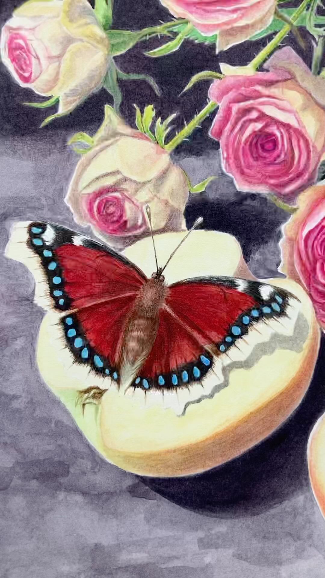 mariayarmish_botanicalart в LOOKY. #голландскийнатюрморт,#бабочкиакварелью,#цветыакварелью,#натюрмортакварелью,#художникахби,#ботаническийхудожник,#stilllife,#dutchstyle,#sabaartist,#saba,#botanicalart,#watercolorbutterflies. Натюрморт в голландс...