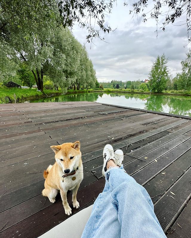 mila_nechiporuk в LOOKY. . Ю скромно намекает н...