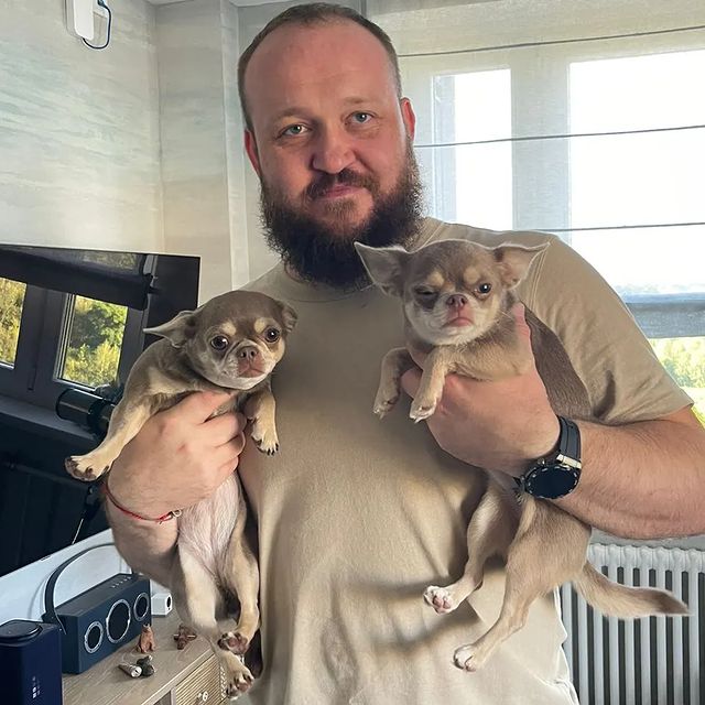 bulanov.dmitry в LOOKY. #chihuahua. Моя банда #chihuahua