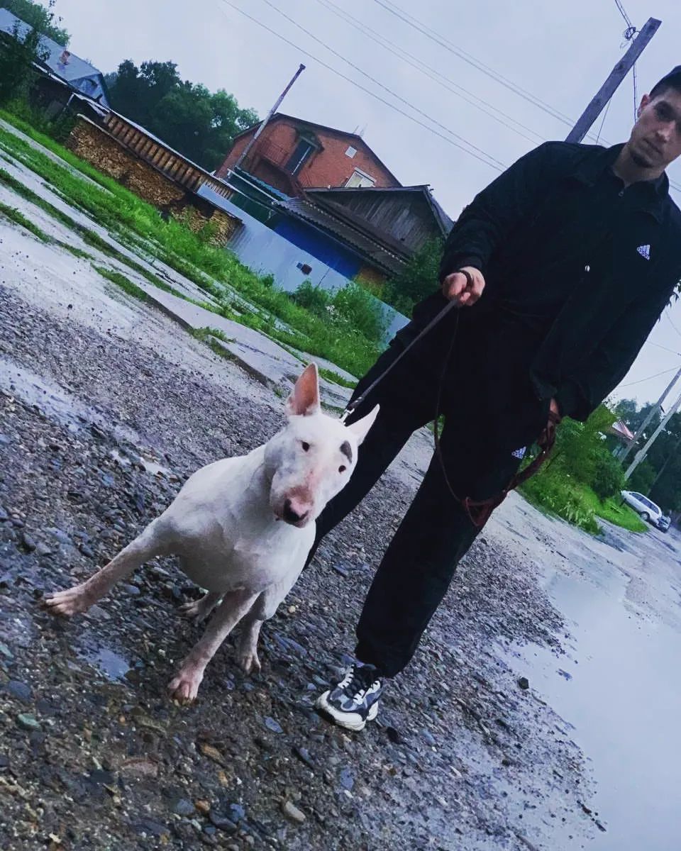 shkilnyuk_ в LOOKY — публикация