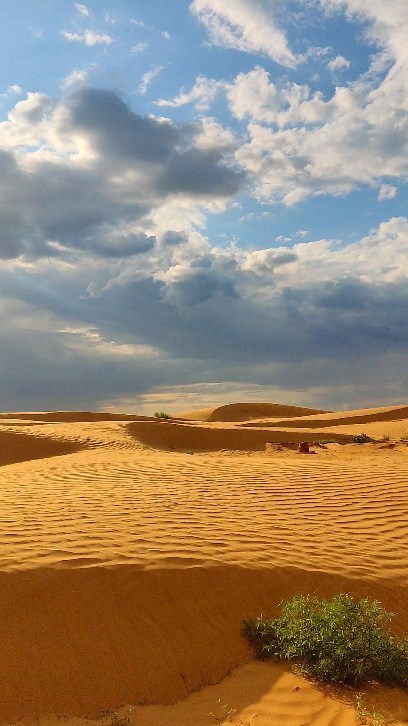 gemarik в LOOKY. . null