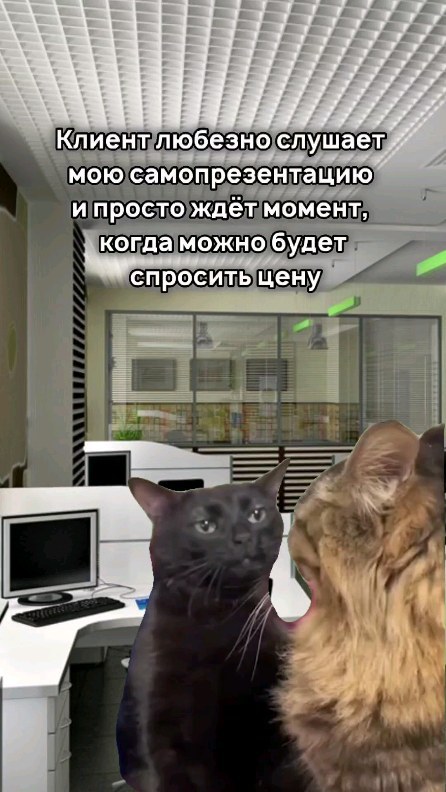 pitchdecks.ru в LOOKY. #дизайн,#презентация,#дизайнпрезентаций,#дизайнер,#presentation,#designer,#фрилансер,#заказчик,#фрилансердизайнер,#заказ,#business,#presents,#reels,#trends,#memes,#mem,#popular,#cats,#fish,#life,#lifesituation,#price. How much is the fish...