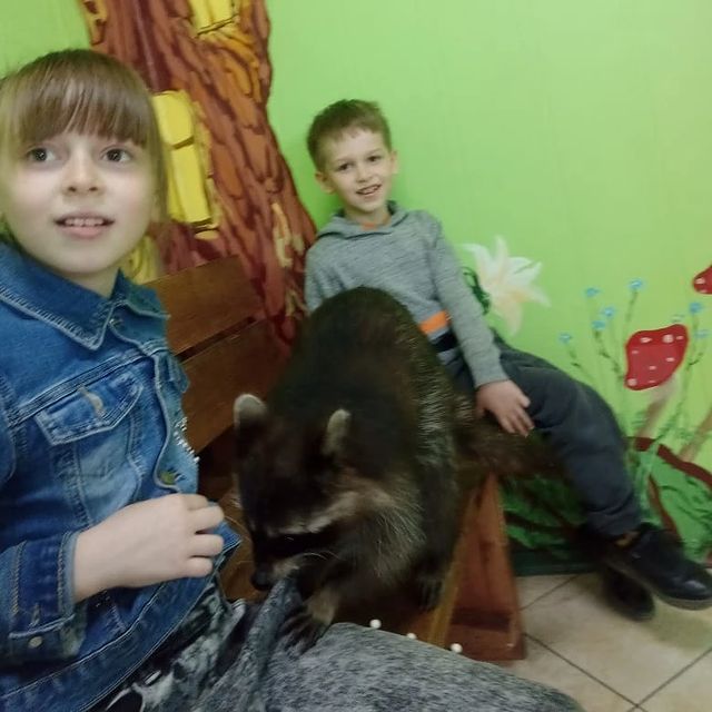 olesia.braiko в LOOKY. . null