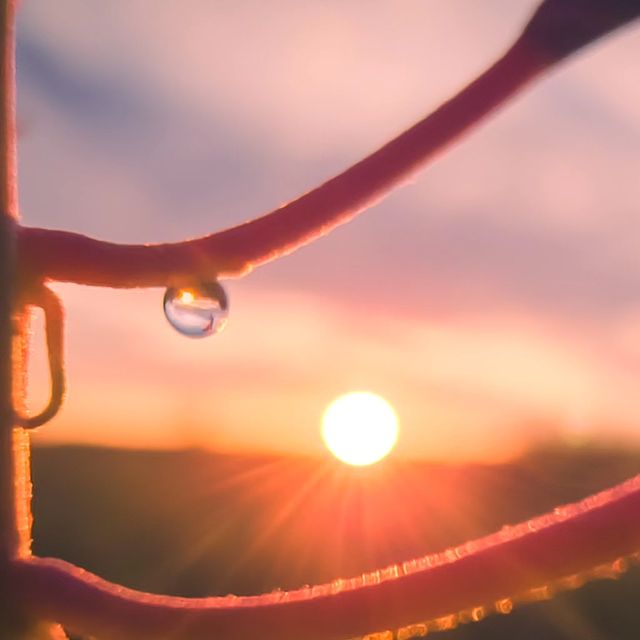 deus.nature в LOOKY. #floverphotography,#flovers,#floverslovers,#macrophotography,#shotongalaxy,#naturephotography,#nature,#naturelovers,#фотодня,#фотоприроды,#фотоцветов,#цветыцветы,#макрофотография,#мобильнаяфотография. ｃｏｇｉｔａｔｉｏｎｉｓ
.
.
.
#...