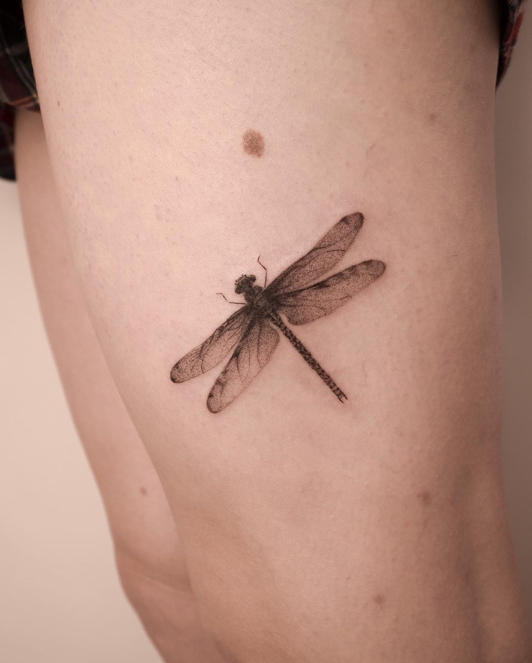 tattoo_aelita в LOOKY — фото 2
