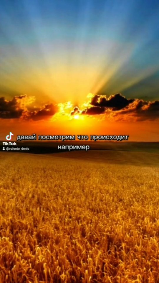 denvalenta в LOOKY. . null