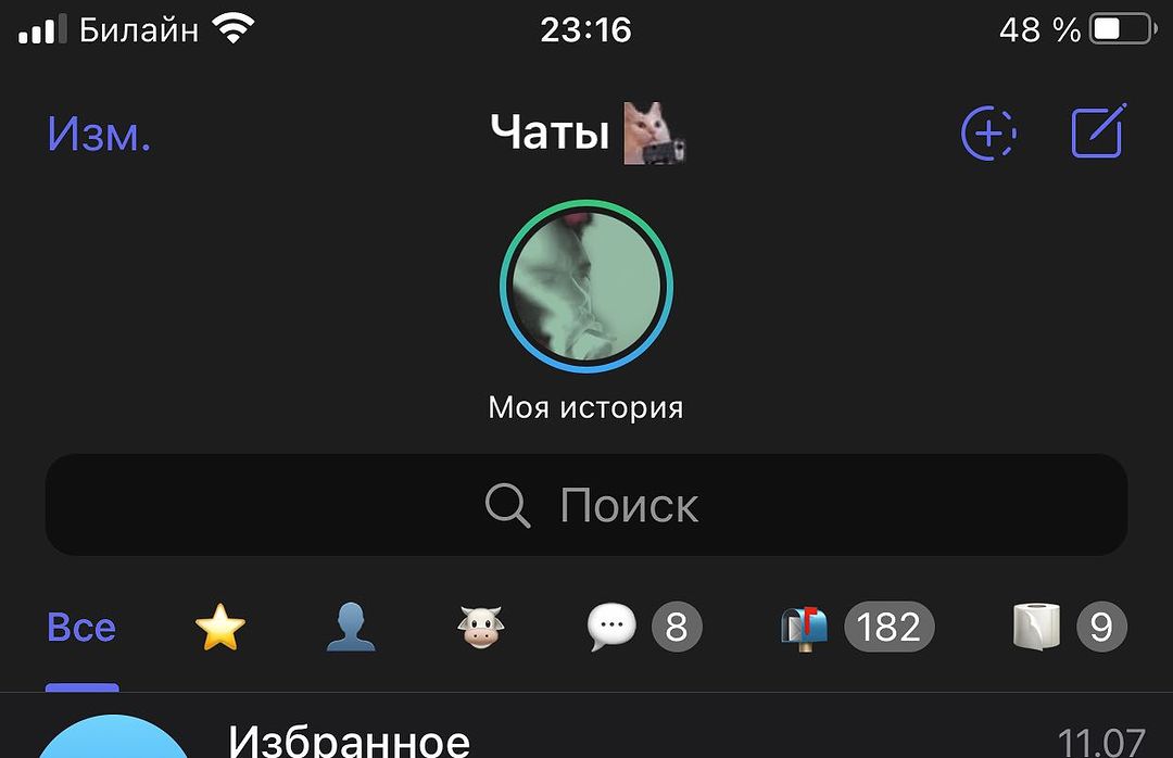 impproblem в LOOKY — В телеге выкатили сторисы (версия 9.6.4). Либо у меня микроф