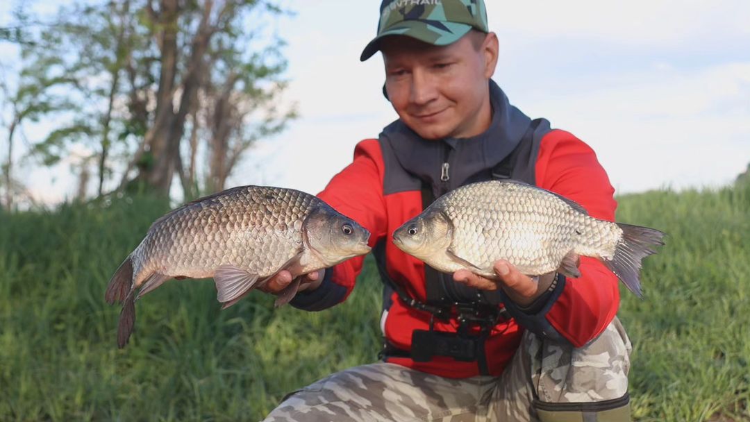 Весенняя рыбалка на фидерную снасть 🎣