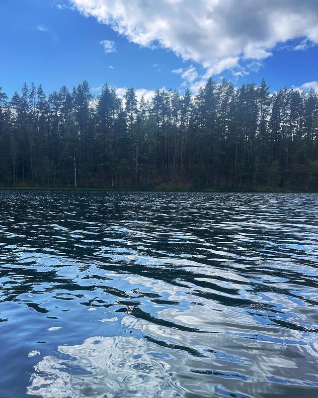 yulyaserg в LOOKY. . null