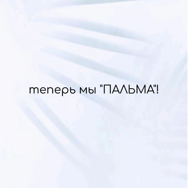 studiya_palma_novokuznetsk в LOOKY. . Уважаемые друзья! Мы...