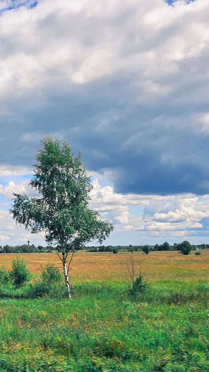 deus.nature в LOOKY. . ｐｅｔｅｒｓｂｕｒｇ