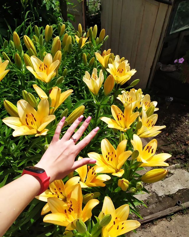Галинка-Малинка в LOOKY. #летоцветырадость🌺🏵️🍀. Моя слабость - это а...