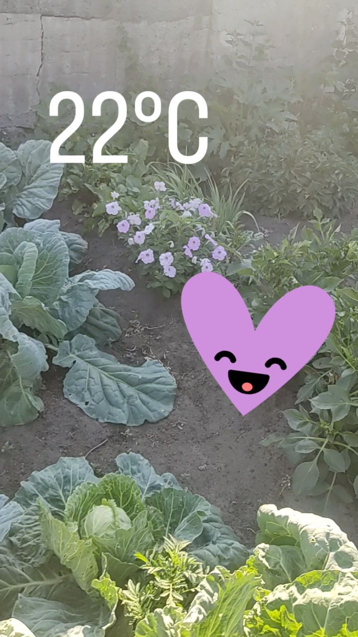 masha45mms in LOOKY. . null