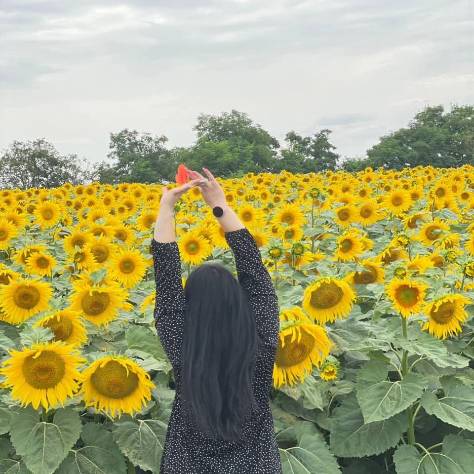 #лето2023☀️🌈🌿#подсолнухи🌻🌻🌻#красота😍😍#🏡💖