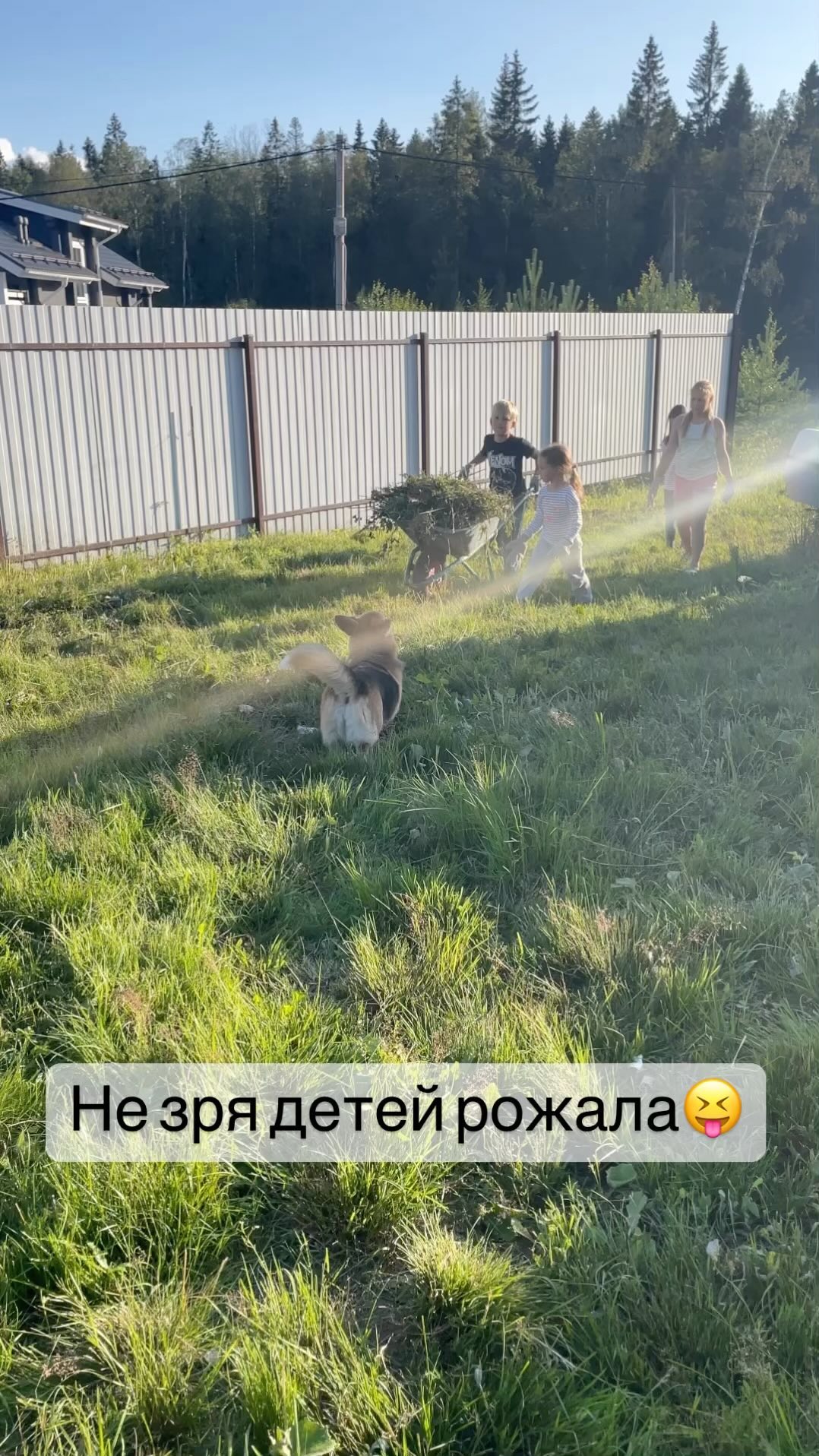 lenka.pokabulka в LOOKY. #дети,#детишкиподросли,#многодетнаямама,#матьлентяйка. Не зря детей рожала�...