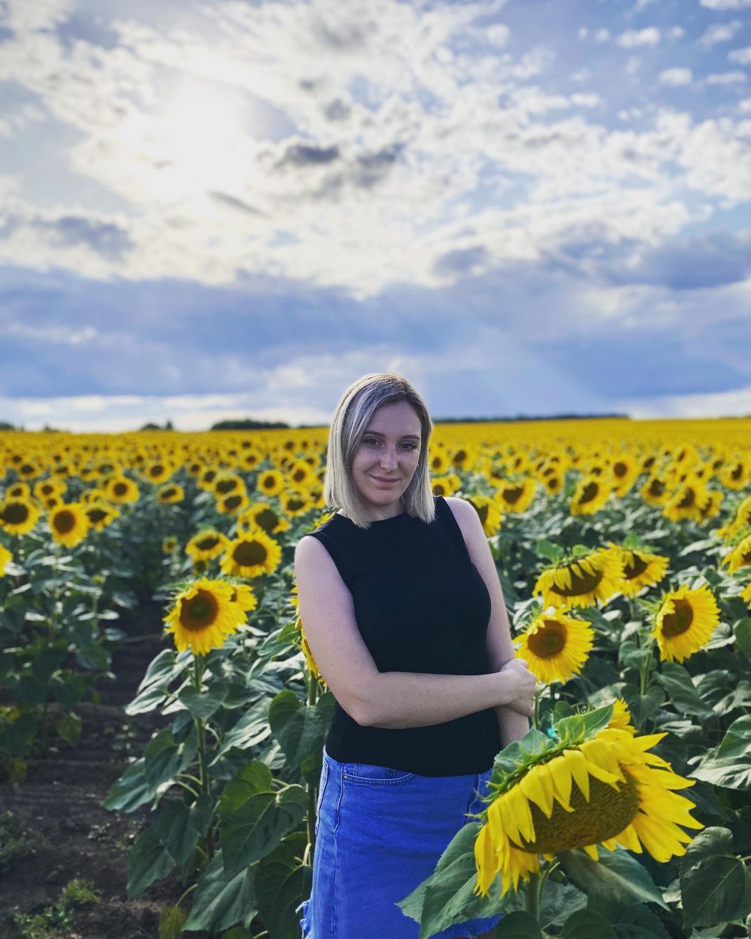 🌻🌻🌻