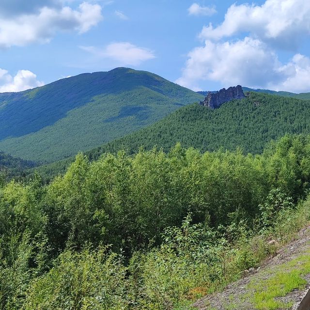 irinkapopovizh111 в LOOKY. . null