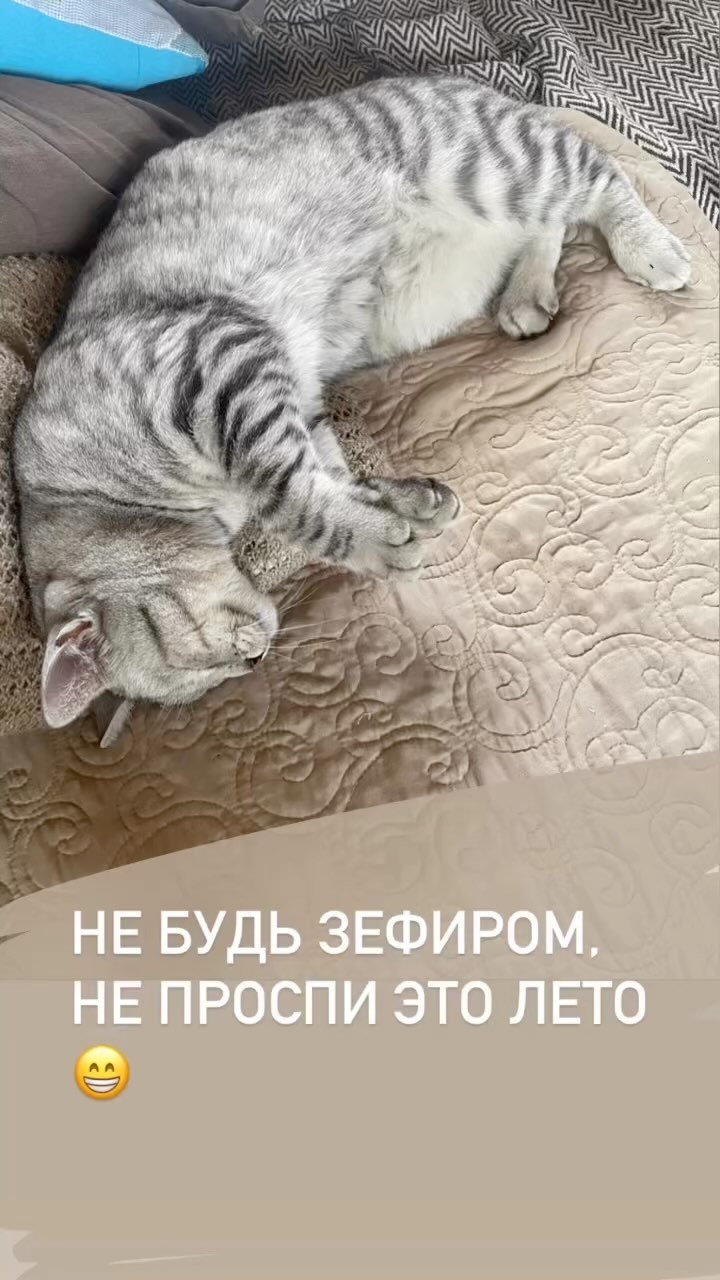 nattalu в LOOKY. . Не ПРОСПИ это лето �...