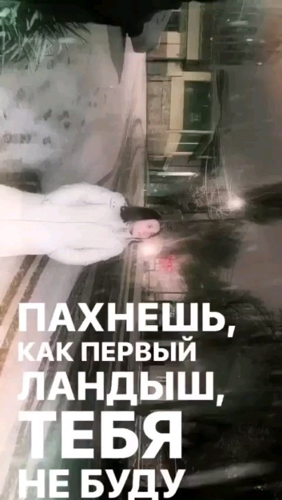 the_coraline_ в LOOKY. . Немного видео с зимы...