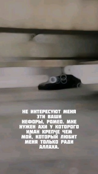 akparov_ll7 в LOOKY. #anime,#amor,#aktive,#tiktok,#trending,#top,#tøp,#toptags,#music,#müzik,#muzik,#muz,#iran,#iranian,#iranianmuz,#tajikistan,#tajik,#tojikiston,#photo,#photography,#fotografia,#imovie,#imoveis,#capcut,#inshot,#kinemaster,#youcut,#program,#video,#. -|ʌᴀйᴋ ᴋᴀʍᴇʜᴛ ᴋʜ "ᴛᴏ...