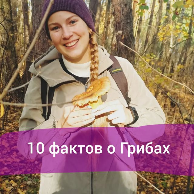 largons в LOOKY. . 10 фактов о 🍄ГРИБАХ...