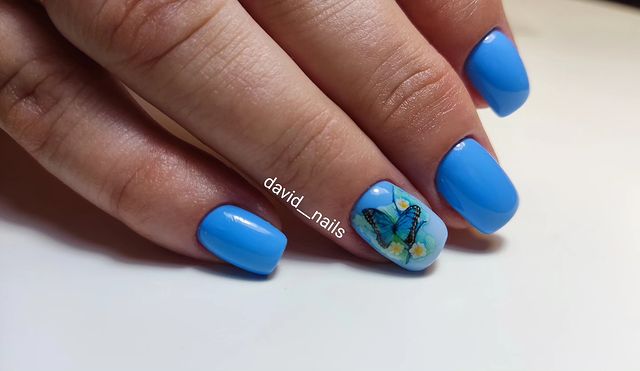 david__nails в LOOKY. . null