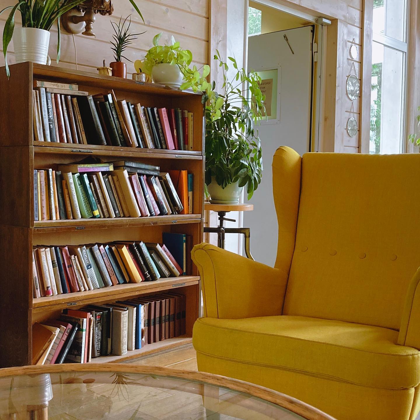 anastasia_shamarina в LOOKY — фото 7