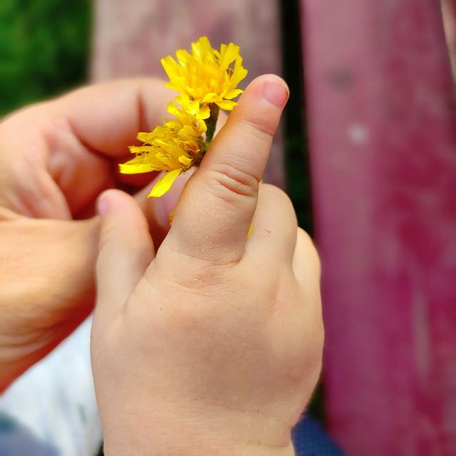 ars_diretore в LOOKY. . 💛💛💛