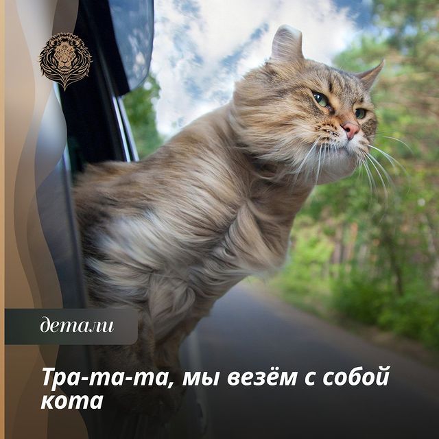 narublevkerigelife в LOOKY. #ветаптечка,#ветаптечкаlemurr,#ветаптечкабадди,#ветаптечкадлябройлера,#ветаптечкадляживотных,#ветаптечкадляиндюков,#ветаптечкадляиндюшат,#ветаптечкадляперепелов,#ветаптечкадляперепелят,#ветаптечкадлясобак,#ветаптечкадляцыплят,#ветаптечкакременчуг,#ветаптечкакфхвесна,#ветаптечканадачу,#ветаптечкаонлайнфермы,#ветаптечкапродукт,#ветаптечкапродукт,#ветаптечкатомск. ☝ Перед поездкой важ...