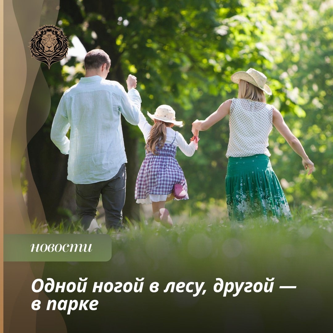 Доброе утро, соседи!

⚡ В Павловской Слободе обустраивают лесопарк.

В рамках программы «Парки в лесу» создают условия для комфортного пребывания в лесу в любое время года: дорожки для прогулок и катания на велосипеде, детские и спортивные площадки, освещение и видеонаблюдение для безопасных прогулок.

Всё это проходит с минимальным вмешательством в природную среду. За время работы программы с 2021 г. благоустроены и открыты для посещений 16 лесопарков. В этом году появятся ещё шесть. Лесопарк в Павловской Слободе — один из них, сообщил министр благоустройства МО Михаил Хайкин.

📍 Кстати, в числе новых лесопарков также появится один в Истре. 😍

#павловская #павловскаябольница #павловскаягимназия #павловскаядача #павловскаялыжня #павловскаяслобода #павловскаяслобода #павловскаясош #павловскаяшкола