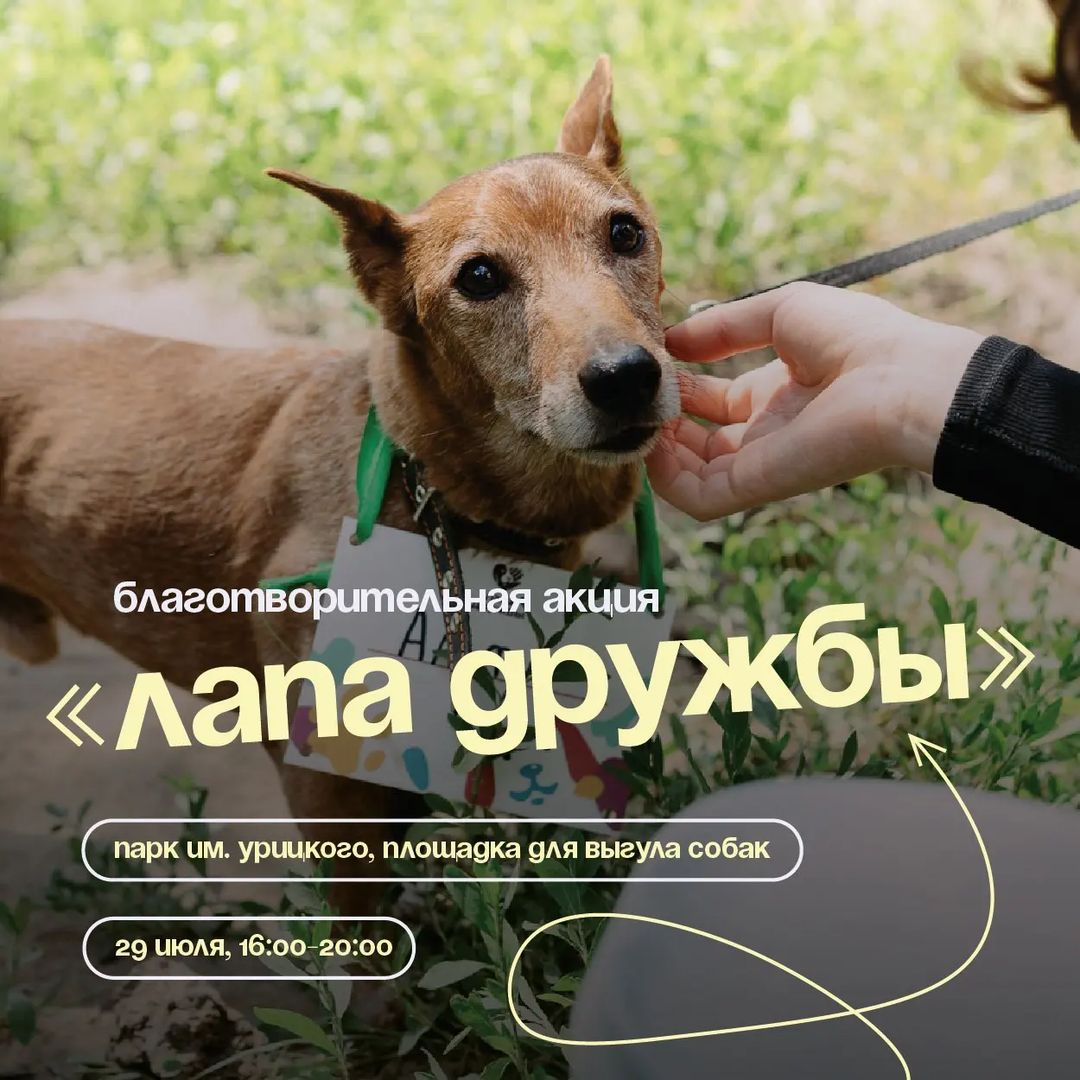 family_kazan16 в LOOKY — В субботу, 29 июля, в парке им. Урицкого пройдет вторая в эт