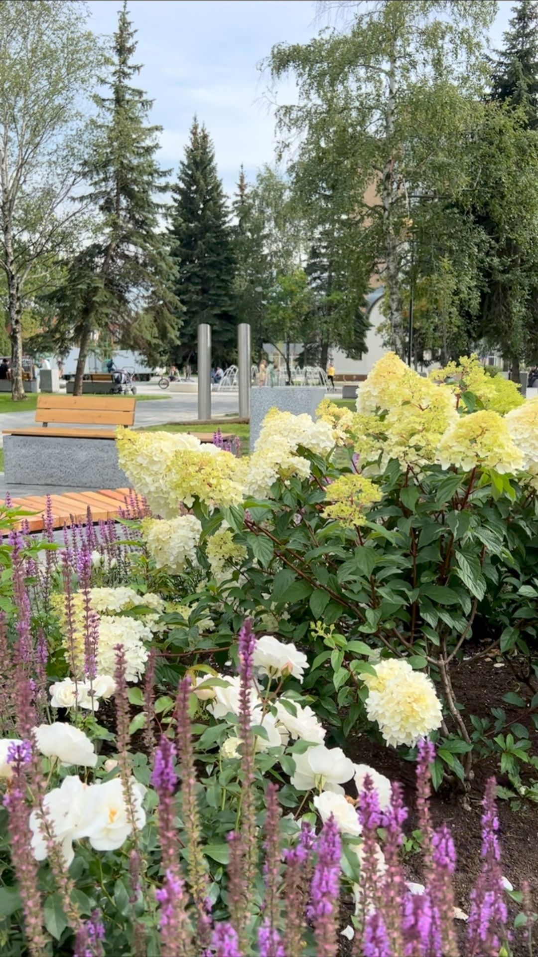 catherine___garden в LOOKY. . null