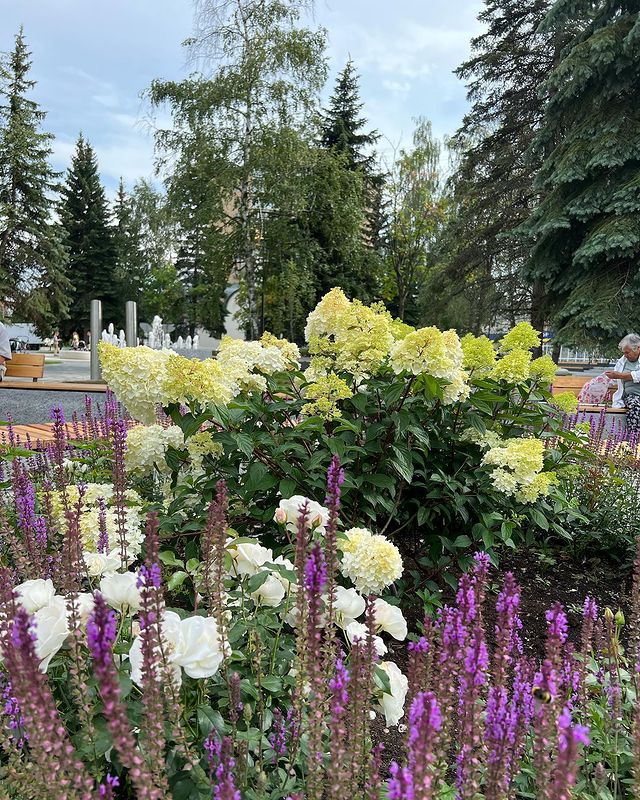 catherine___garden в LOOKY. . null