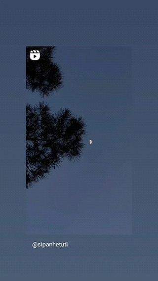 Xurshid Latipov в LOOKY. . https://scout.prfl.m...
