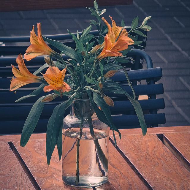 deus.nature в LOOKY. #floverphotography,#flovers,#floverslovers,#macrophotography,#shotongalaxy,#naturephotography,#nature,#naturelovers,#фотодня,#фотоприроды,#фотоцветов,#цветыцветы,#макрофотография,#мобильнаяфотография. ｍｏｄｕｓ
.
.
.
#floverp...