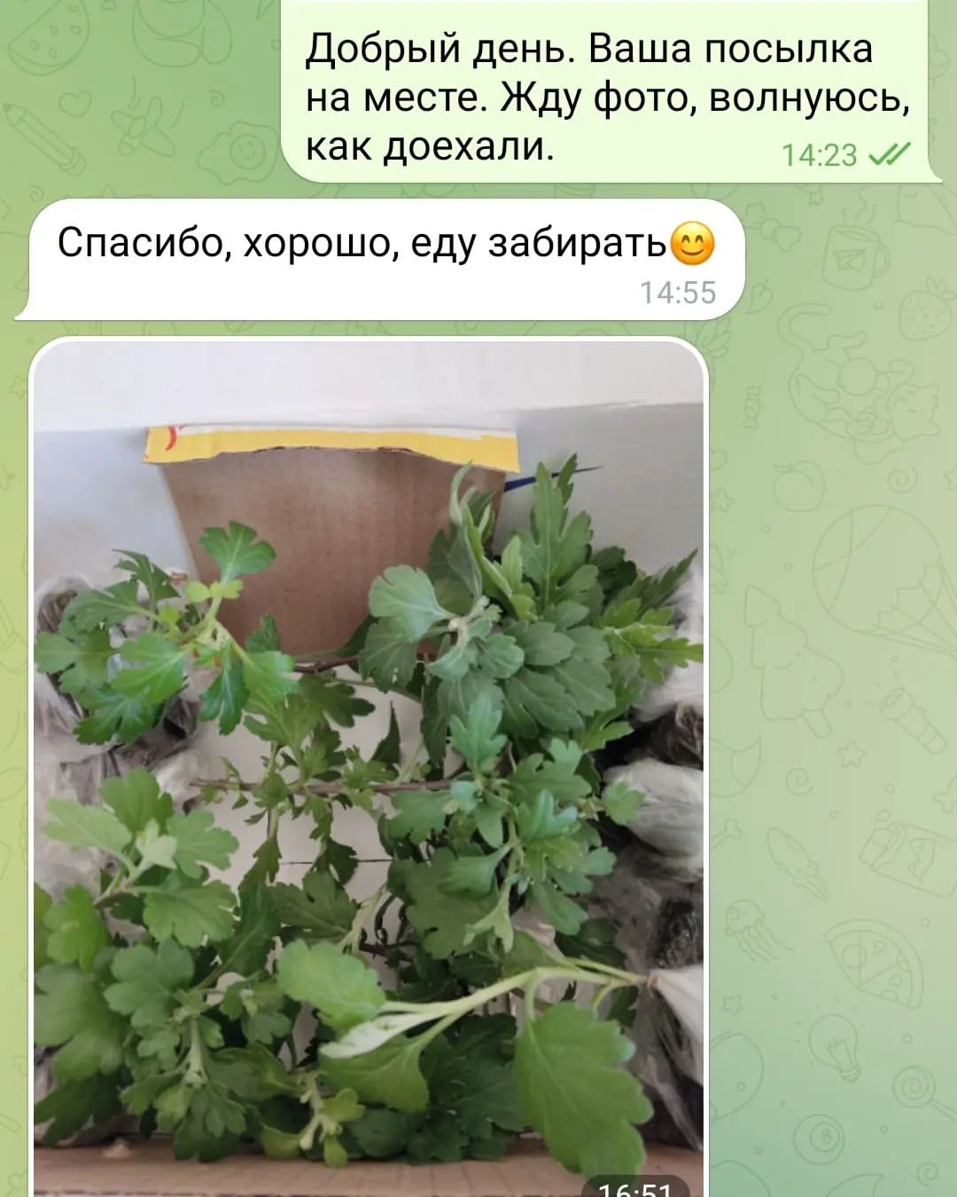 natali_multiflora в LOOKY. . Отзывы