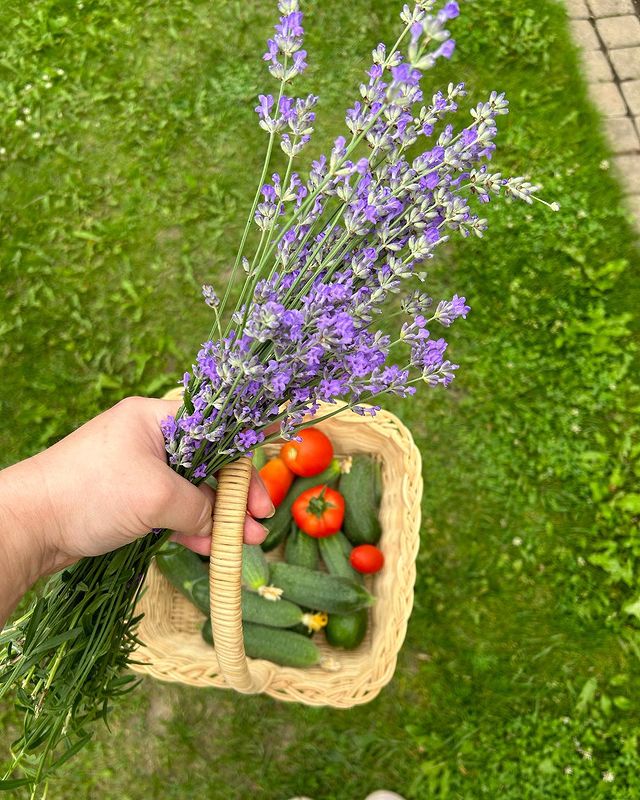 sokolova_.a в LOOKY. #июль#надаче#дачнаяжизнь#деласадовые#огород#отпуск#выходной. Июля осталось совсем...