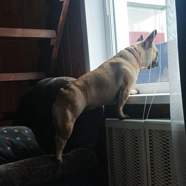 mihachar в LOOKY. . Как там на улице?