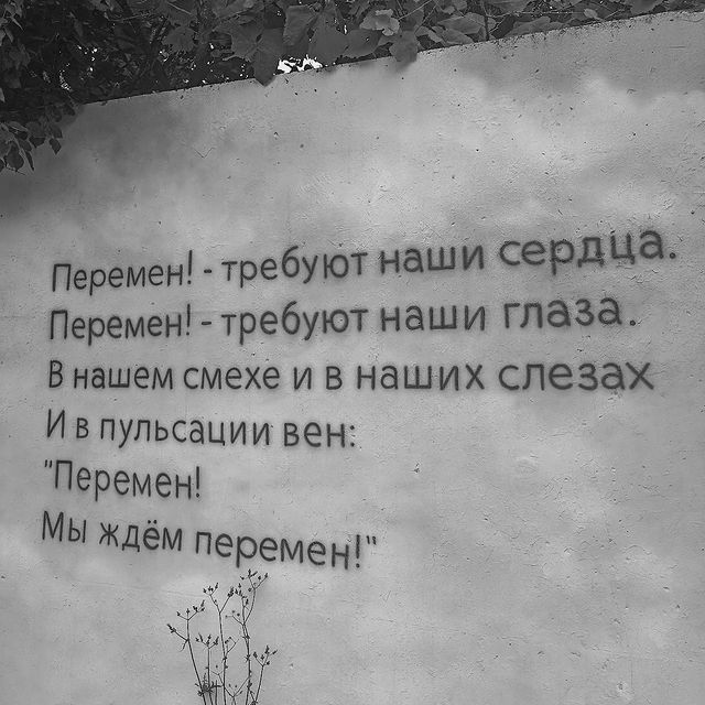yanchikk101 в LOOKY. #цой,#хочуперемен,#викторцой,#саратов,#городскойпарксаратов,#цойжив. Хочу перемен...
#цой...