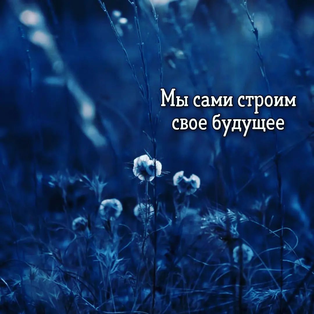 jullianna_taro в LOOKY — 💥МЫ САМИ СТРОИМ СВОЁ БУДУЩЕЕ!
.
Часто клиенты обращаются ко
