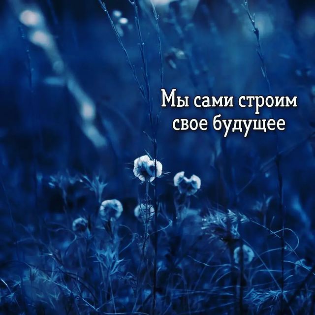 jullianna_taro в LOOKY. #jt_инфо_faq,#jt_состояние. 💥МЫ САМИ СТРОИМ СВО...