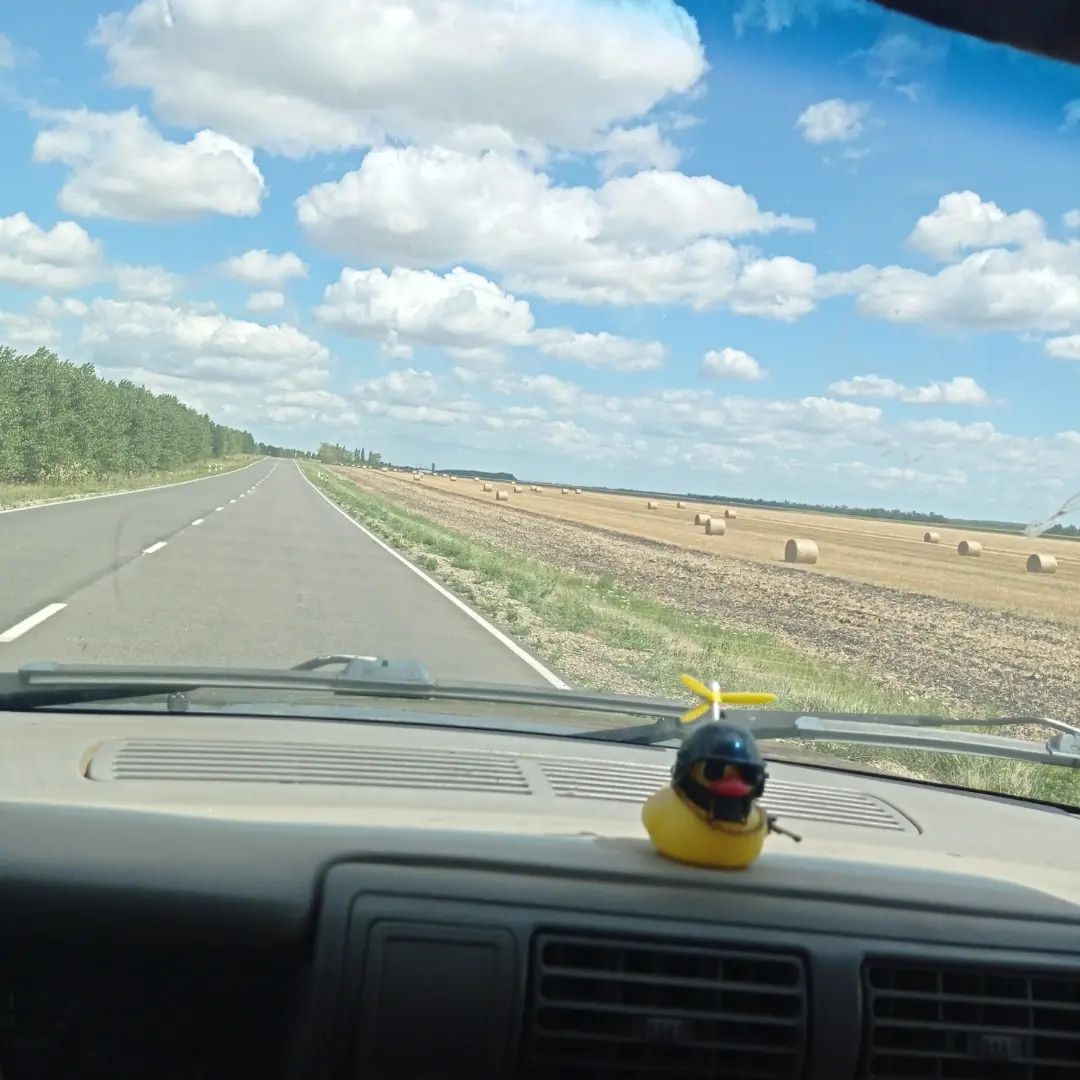 vip_tip1 в LOOKY — фото 1