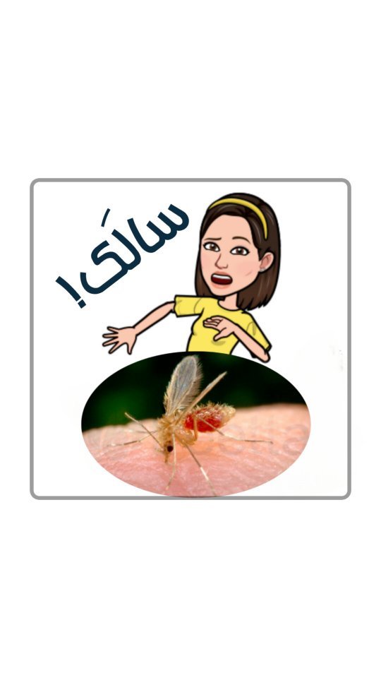 mahdieh_andisheh в LOOKY. #سالک. ابتلاء به سالک رو کا...