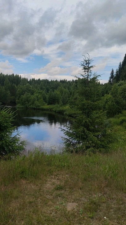 svidunovichev в LOOKY. #пудожскиебудни. Моя малая родина.
Ра...